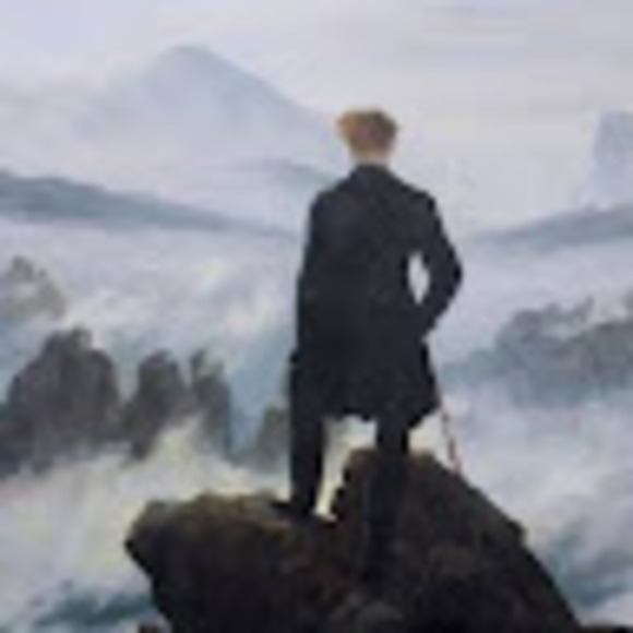 Meet your Posher, Rylee - Picture 1 of 1